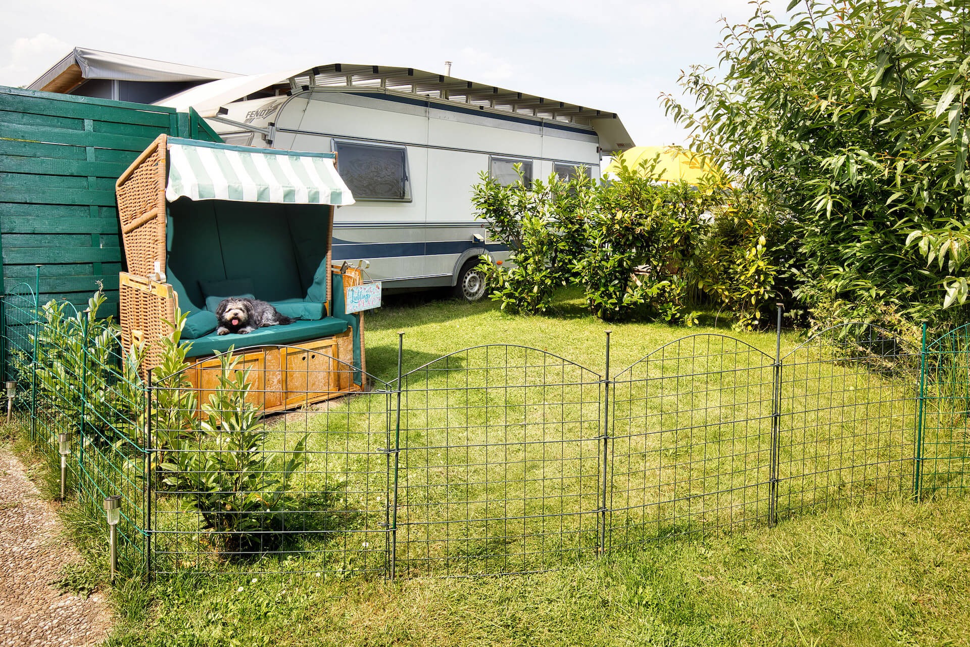 See-Campingpark Neubäu - Hund im Strandkorb mit Wohnwagen