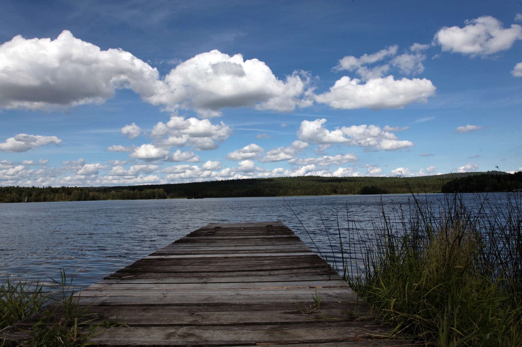 Blick auf den Neubäuer See vom Steg
